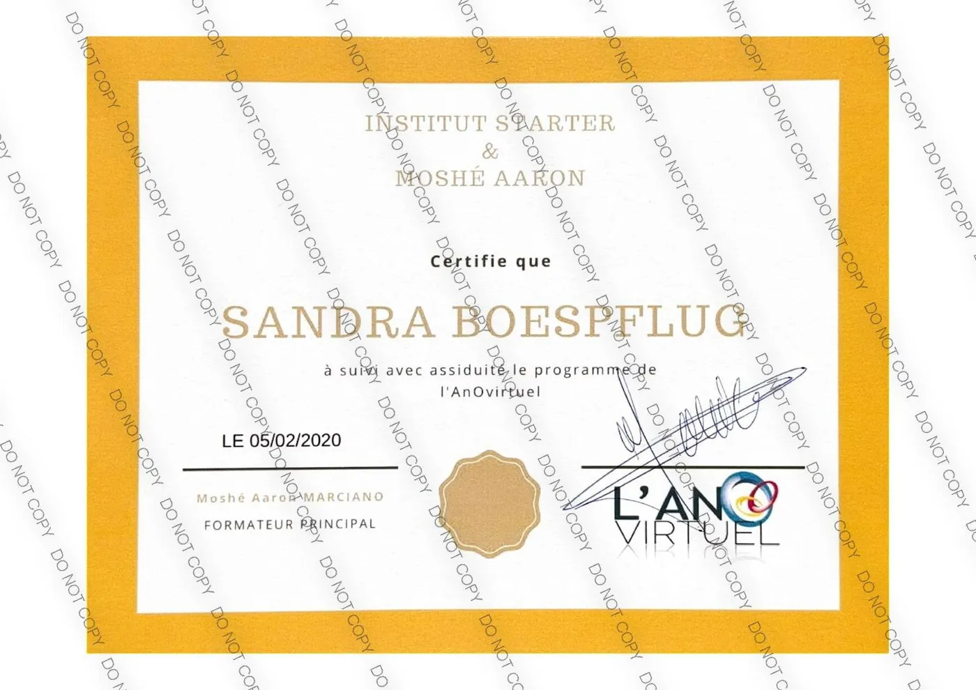 Certificat de formation à la pose de l’anneau gastrique virtuel de Sandra Boespflug-Rebibo