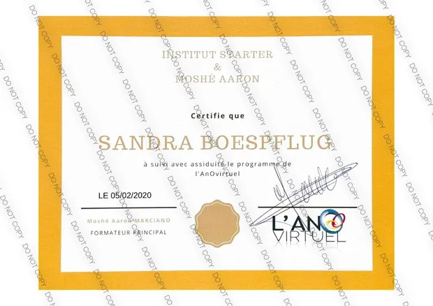 Certificat de formation à la pose de l’anneau gastrique virtuel de Sandra Boespflug-Rebibo